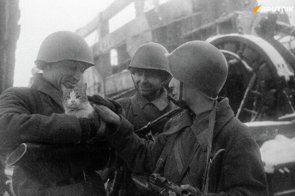 «حتی یک قدم هم عقبنشینی نکنید!»: روز شکست نیروهای نازی در نبرد استالینگراد «حتی یک قدم هم عقبنشینی نکنید!»: روز شکست نیروهای نازی در نبرد استالینگراد - اسپوتنیک ایران