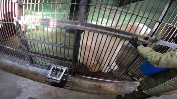 تمرینات خرس قطبی ترپی ‍ - اسپوتنیک ایران  