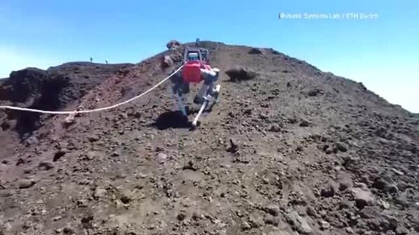 یک سگ رباتیک برای کاوش در کوه اتنا فرستاده شده است - اسپوتنیک ایران  