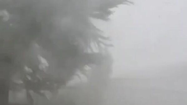 سیل شدید جنوب شرقی برزیل را درنوردید - اسپوتنیک ایران  