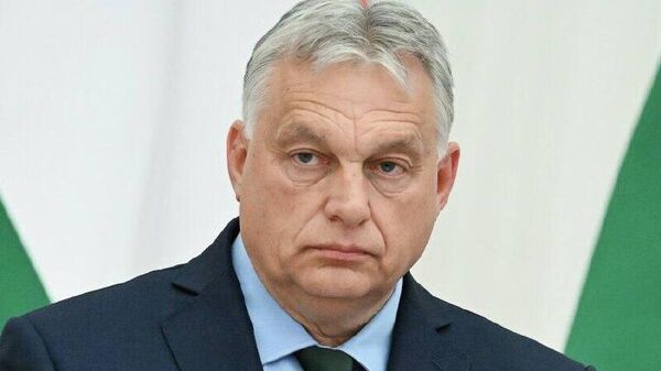 «این دیوانگی است» - اسپوتنیک ایران  