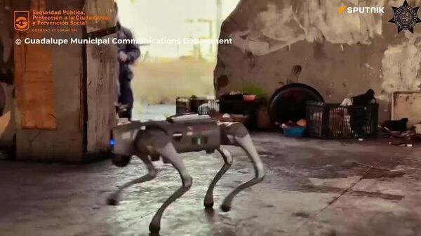 استفاده از سگ های رباتیک برای حفظ نظم در مسابقات جام جهانی فوتبال - اسپوتنیک ایران  