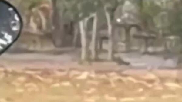 پلیس فرد تیرانداز در مدرسه‌ای در جنوب تایلند را دستگیر کرد - اسپوتنیک ایران  