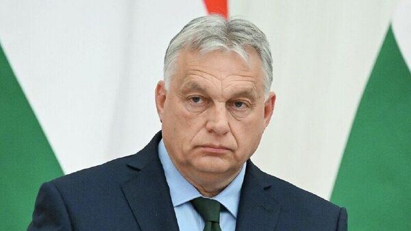 نخست‌وزیر مجارستان: شما در مسیر اشتباهی هستید - اسپوتنیک ایران  