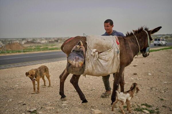 رویدادهای چشمگیر هفته از نگاه تصویر از 7 تا 13 فوریه - اسپوتنیک ایران  