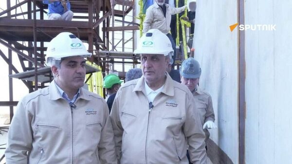 محمد اسلامی، معاون رئیس جمهور ایران، - اسپوتنیک ایران  