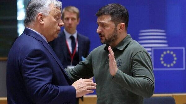 کارشناس سیاسی تصریح کرد که اتحادیه اروپا از ترامپ متنفر است - اسپوتنیک ایران  