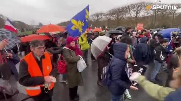 فرانسوی ها برای خروج فرانسه از اتحادیه اروپا به خیابان آمدند - اسپوتنیک ایران  