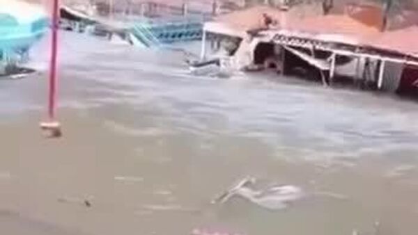 نجات جان یک سگ در سیل در ترکیه - اسپوتنیک ایران  