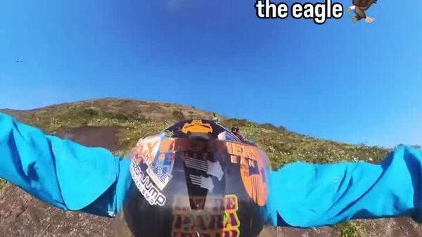 انسان سریع تر پرواز می کند یا شاهین کوهی؟ - اسپوتنیک ایران  