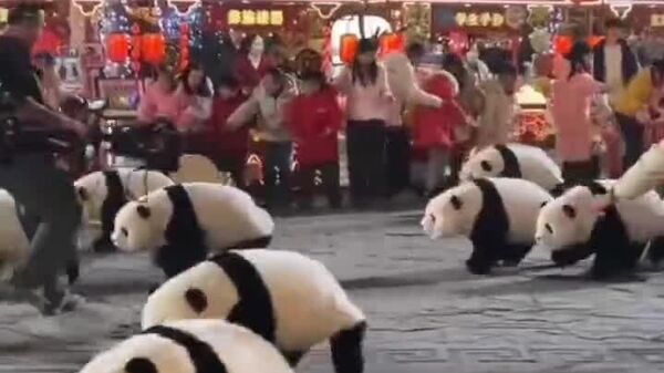 رقاصی و اجرای حرکات موزون ربات های پاندا به مناسبت جشن‌های سال نو چینی - اسپوتنیک ایران  