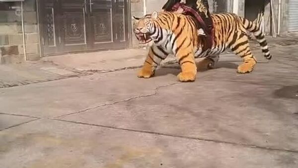 مرد باستانی سوار بر ببر رباتی باعث وحشت سگ بیچاره شد - اسپوتنیک ایران  