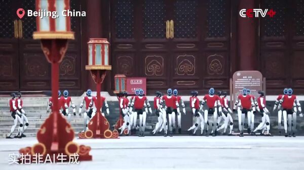 اجرایی منحصر به فرد کونگ فو توسط ربات‌های انسان‌نمای چینی - اسپوتنیک ایران  