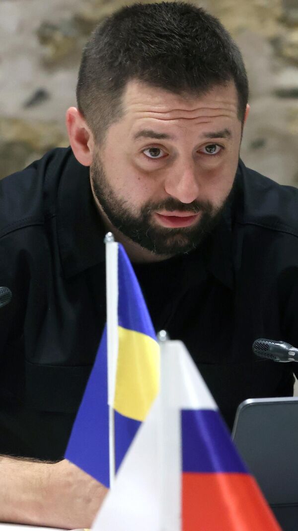David Arakhamia, head of the Servant of the People faction in the Verkhovna Rada of Ukraine, during Russian-Ukrainian talks in Istanbul. - اسپوتنیک ایران  