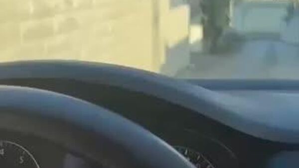 کارگران فلسطینی هدف شلیک تک تیراندازان ارتش اسرائیل هستند - اسپوتنیک ایران  