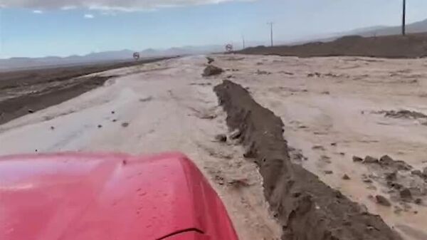 باران در صحرای آتاکاما، خشک‌ترین مکان جهان، جایی که هر چند دهه یک بار بارندگی رخ می‌دهد - اسپوتنیک ایران  