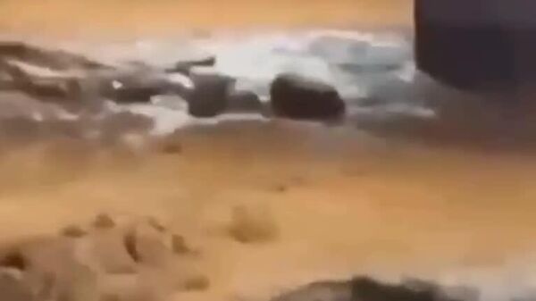 در جریان سیل شدید، تابوت‌هایی در خیابان‌های شهر اوبا برزیل شناور بودند - اسپوتنیک ایران  