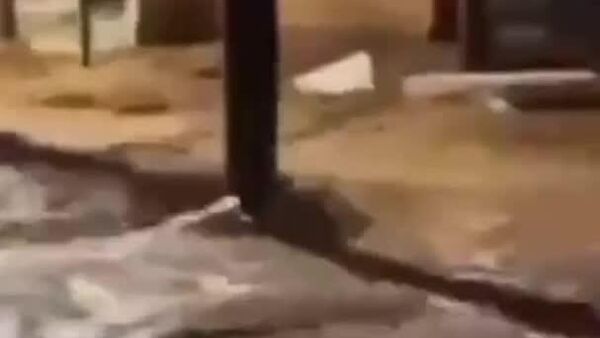 مشاهده تابوت های شناور پس از باران‌های سیل‌آسا در خیابان‌های شهر اوبا برزیل - اسپوتنیک ایران  