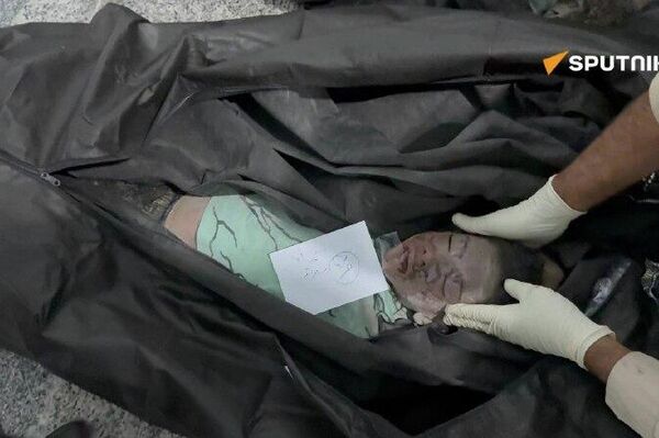 تصاویر جدید از قربانیان حمله آمریکا به مدرسه میناب - اسپوتنیک ایران  