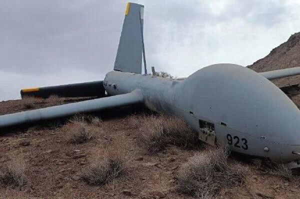 پهپاد هرمس 900 ارتش اسرائیل سالم و با تسلیحات توسط سپاه شکار شد - اسپوتنیک ایران  