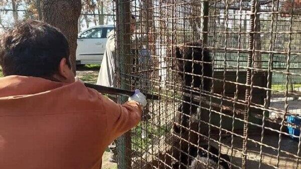 انتقال گونه‌های حساس حیات‌وحش از مرکز پردیسان - اسپوتنیک ایران  