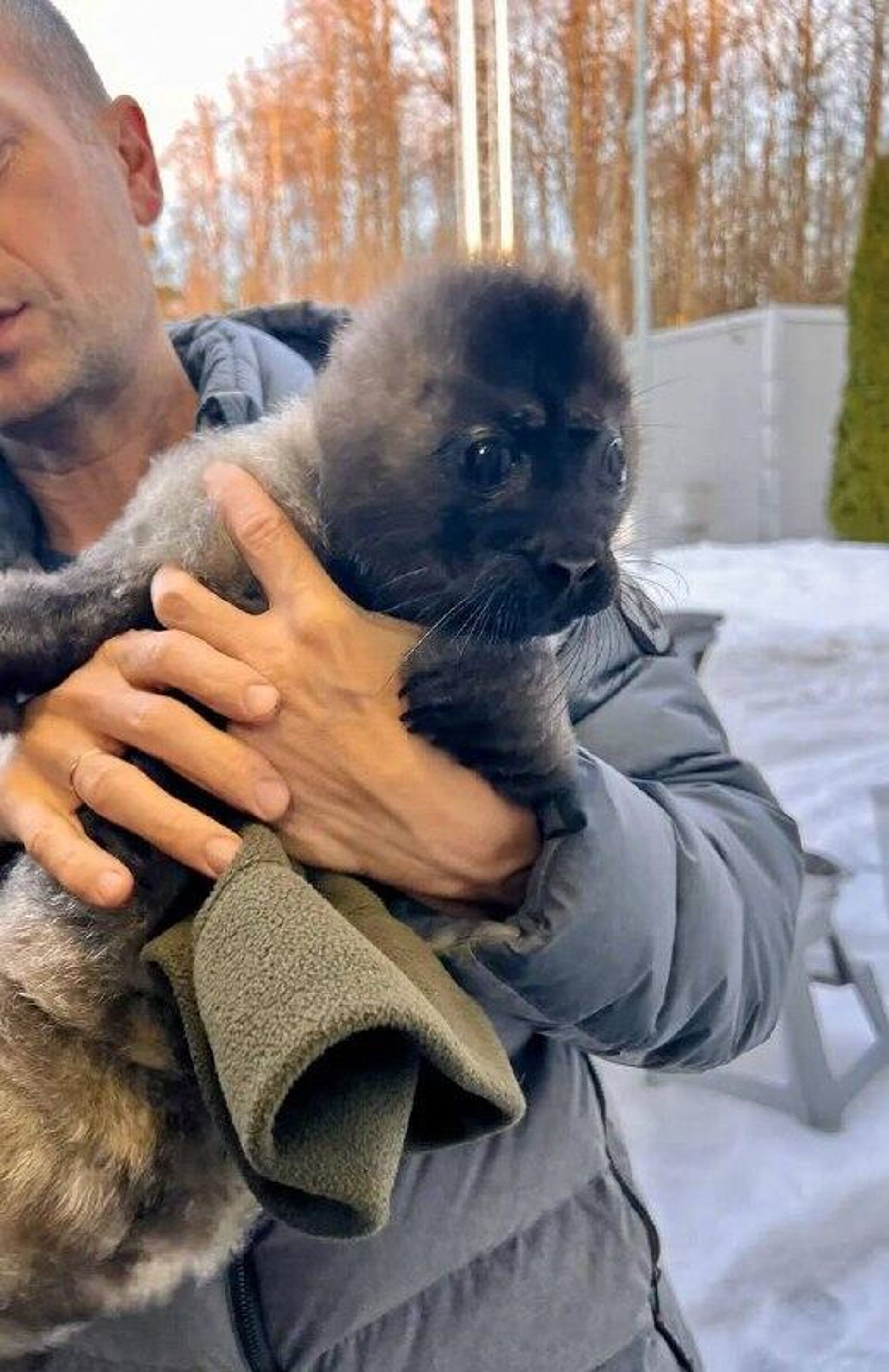 بچه فک در روسیه از دست مرغ‌های دریایی نجات یافت - اسپوتنیک ایران  , 1920, 09.03.2026