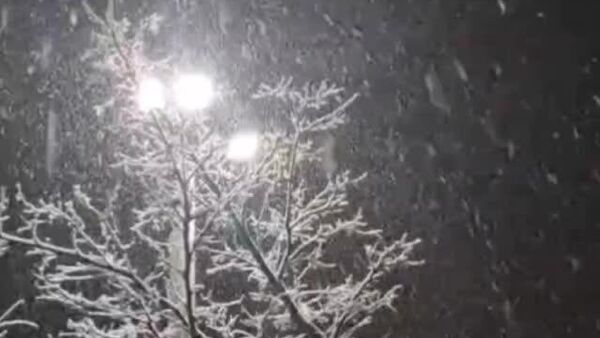 لحظاتی از بارش برف شبانگاهی در تهران - اسپوتنیک ایران  