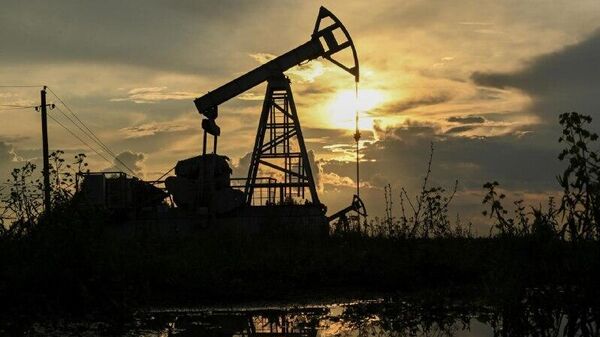 رسانه: آژانس بین‌المللی انرژی پیشنهاد آزادسازی حجم تاریخی نفت از ذخایر را می‌دهد - اسپوتنیک ایران  