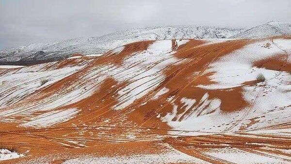 شن‌های صحرای بزرگ آفریقا سفید شدند - اسپوتنیک ایران  