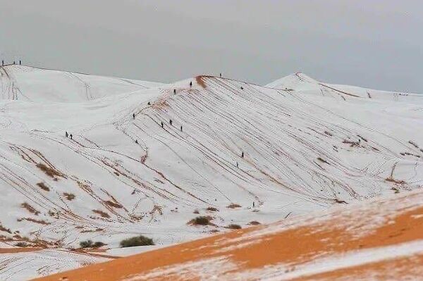 شن‌های صحرای بزرگ آفریقا سفید شدند - اسپوتنیک ایران  