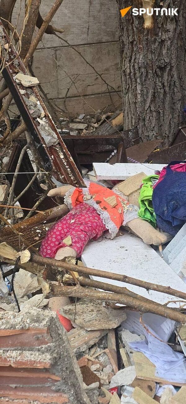 از دل ویرانه‌های وطن زندگی می‌روید  - اسپوتنیک ایران  