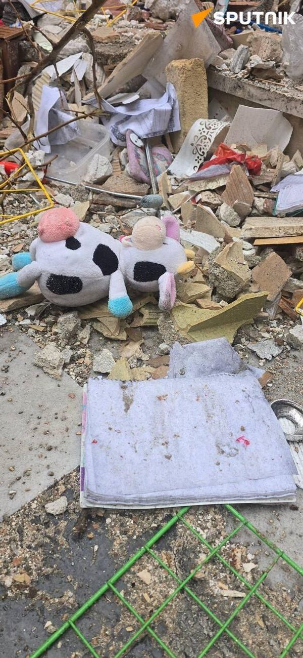 از دل ویرانه‌های وطن زندگی می‌روید  - اسپوتنیک ایران  