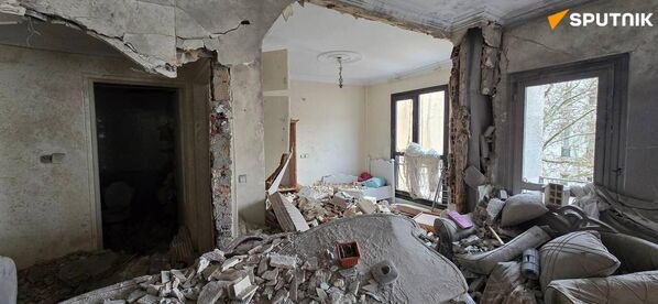 از دل ویرانه‌های وطن زندگی می‌روید  - اسپوتنیک ایران  