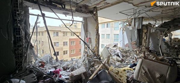 از دل ویرانه‌های وطن زندگی می‌روید  - اسپوتنیک ایران  