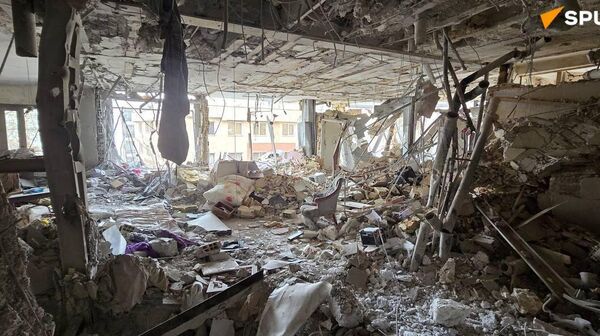 از دل ویرانه‌های وطن زندگی می‌روید  - اسپوتنیک ایران  