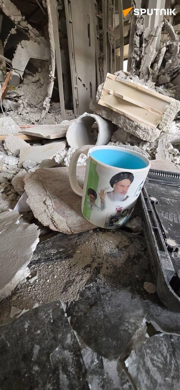 از دل ویرانه‌های وطن زندگی می‌روید  - اسپوتنیک ایران  