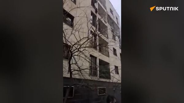 از دل ویرانه‌های وطن زندگی می‌روید - اسپوتنیک ایران  