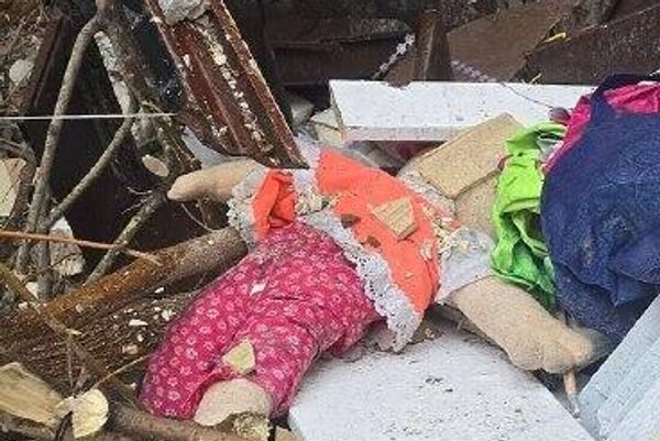 از دل ویرانه‌های وطن زندگی می‌روید - اسپوتنیک ایران  