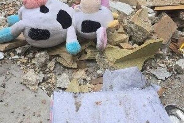 از دل ویرانه‌های وطن زندگی می‌روید - اسپوتنیک ایران  