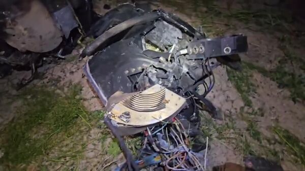 تصاویری از بقایای پهپاد آمریکایی MQ-9 که توسط پدافند هوایی ایران در بندرعباس، جنوب ایران، رهگیری و منهدم شد - اسپوتنیک ایران  