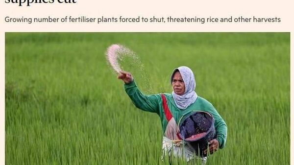 رسانه اعلام نمود درگیری در ایران ممکن است به آشفتگی غذایی جهانی انجامد - اسپوتنیک ایران  