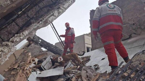 در جست‌وجوی زندگی زیر آوار جنگ : روایت امدادگر و سگ زنده‌یابش از 12 روز ماموریت سخت در تهران - اسپوتنیک ایران  