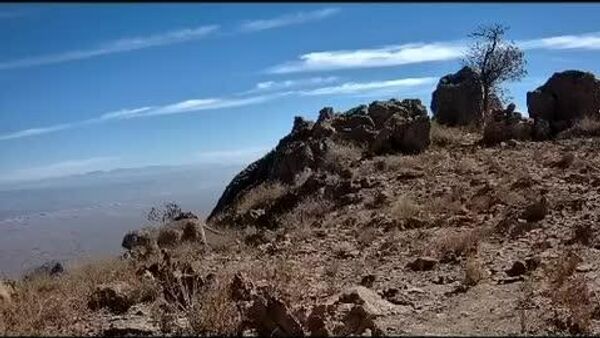 ثبت حضور پلنگ توسط دوربین های تله‌ای محیط بانان استان سیستان و‌ بلوچستان - اسپوتنیک ایران  