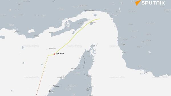 تغییر وضعیت در تنگه هرمز - اسپوتنیک ایران  