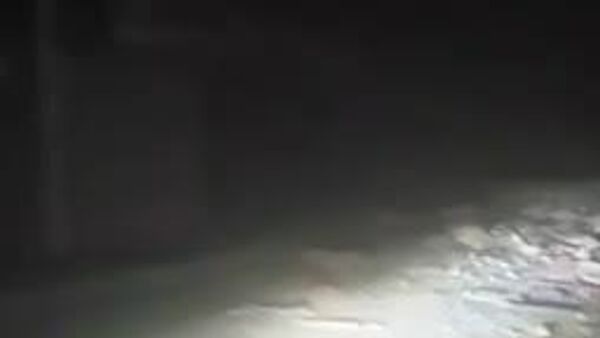 ارتش اسرائیل سه حمله قدرتمند به حومه جنوبی بیروت انجام داد - اسپوتنیک ایران  