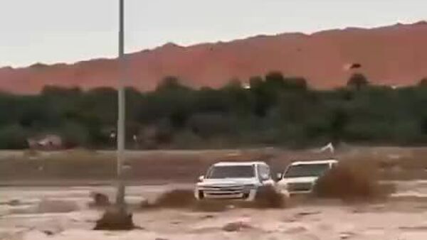 در عمان، یک بالگرد افرادی را که در ماشین واژگون شده گرفتار شده بودند نجات داد - اسپوتنیک ایران  