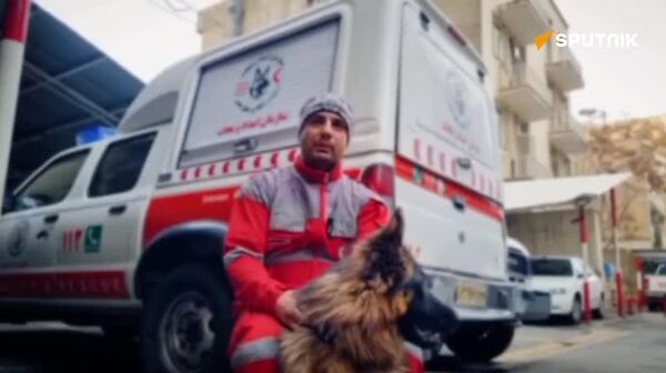 پایان انتظار مادر، با کمک سگهای جستجو و نجات - اسپوتنیک ایران  