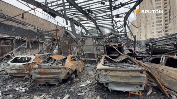 رئیس جمعیت هلال احمر ایران: کمک های دارویی از روسیه رسیده - اسپوتنیک ایران  