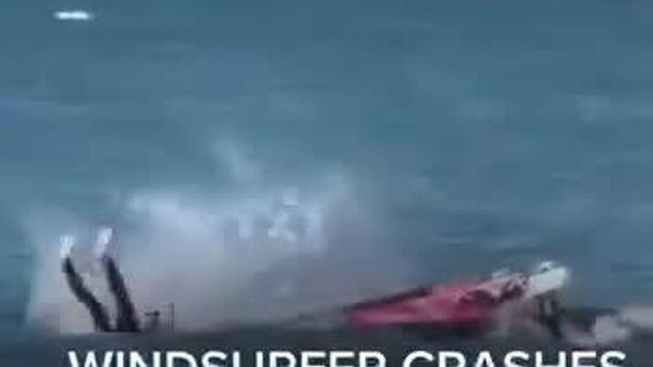 برخورد یک موج‌سوار با یک نهنگ در خلیج سانفرانسیسکو - اسپوتنیک ایران  