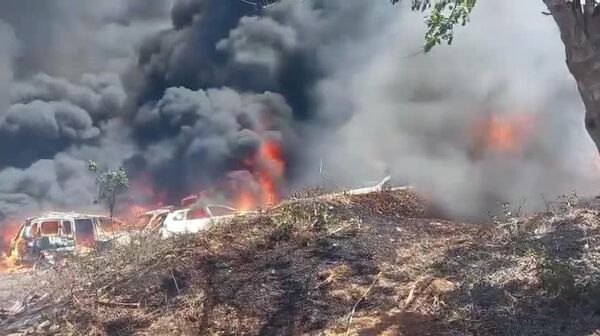 آتش سوزی جنگلی در ایالت گوئررو مکزیک - اسپوتنیک ایران  